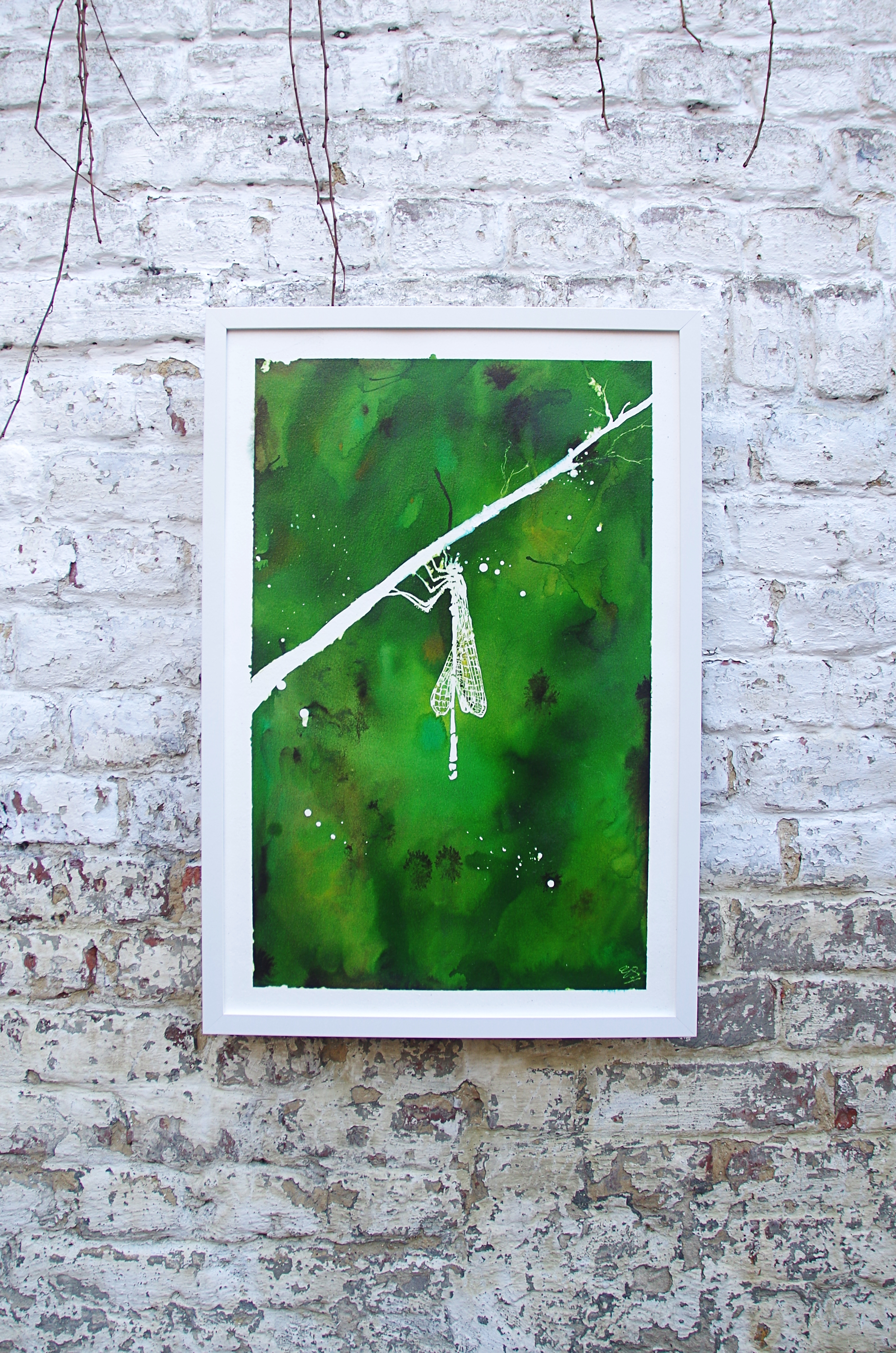 libellule blanc sur fond vert